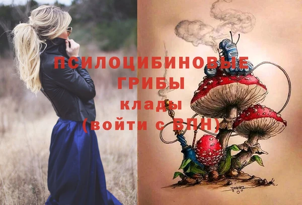 спайс Волоколамск