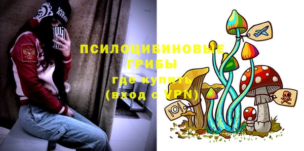 дурь Володарск