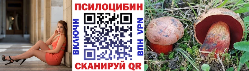 hydra ССЫЛКА  Новочебоксарск  Галлюциногенные грибы прущие грибы 